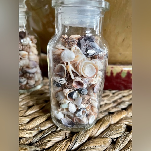 Decorative small sea shells in glass bottles - Picture 2 of 4